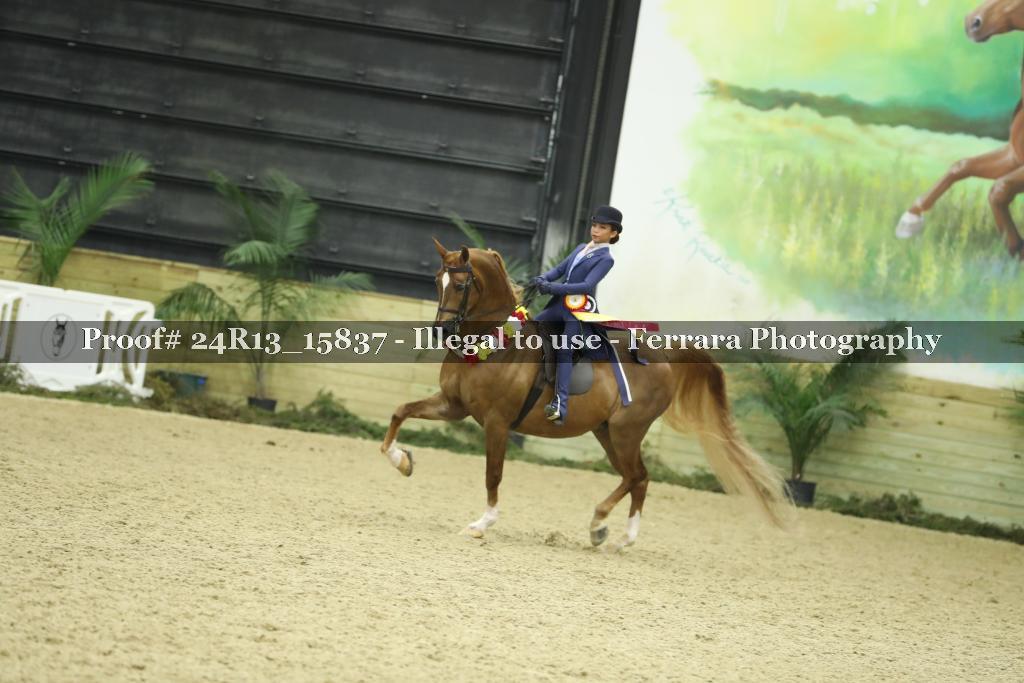 Proof 24R13_15837
