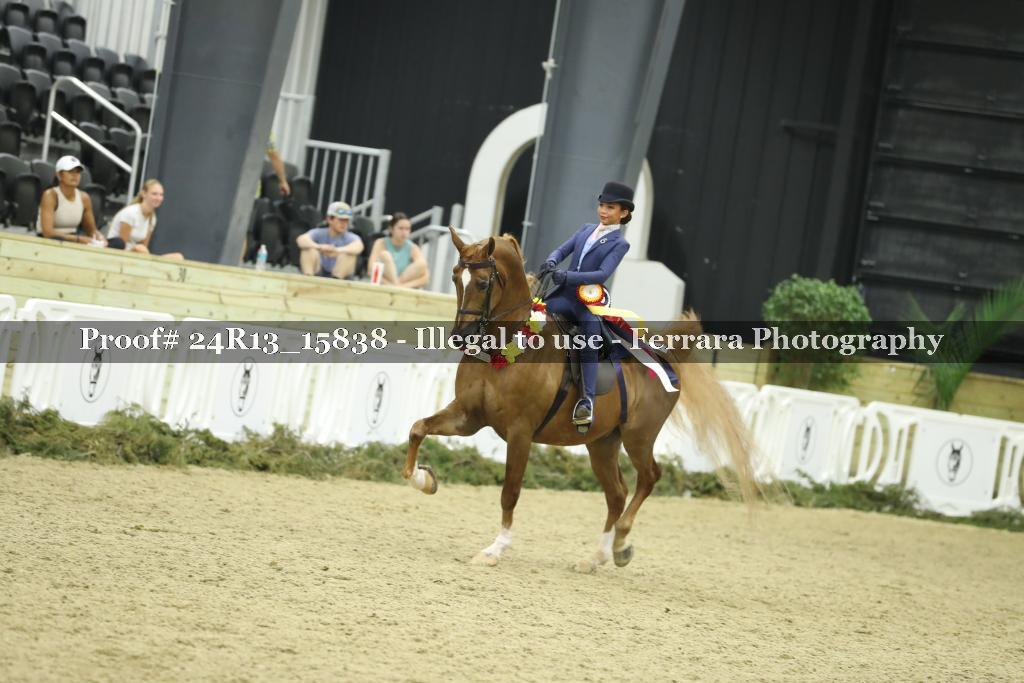 Proof 24R13_15838