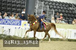 24R13_15842 proof