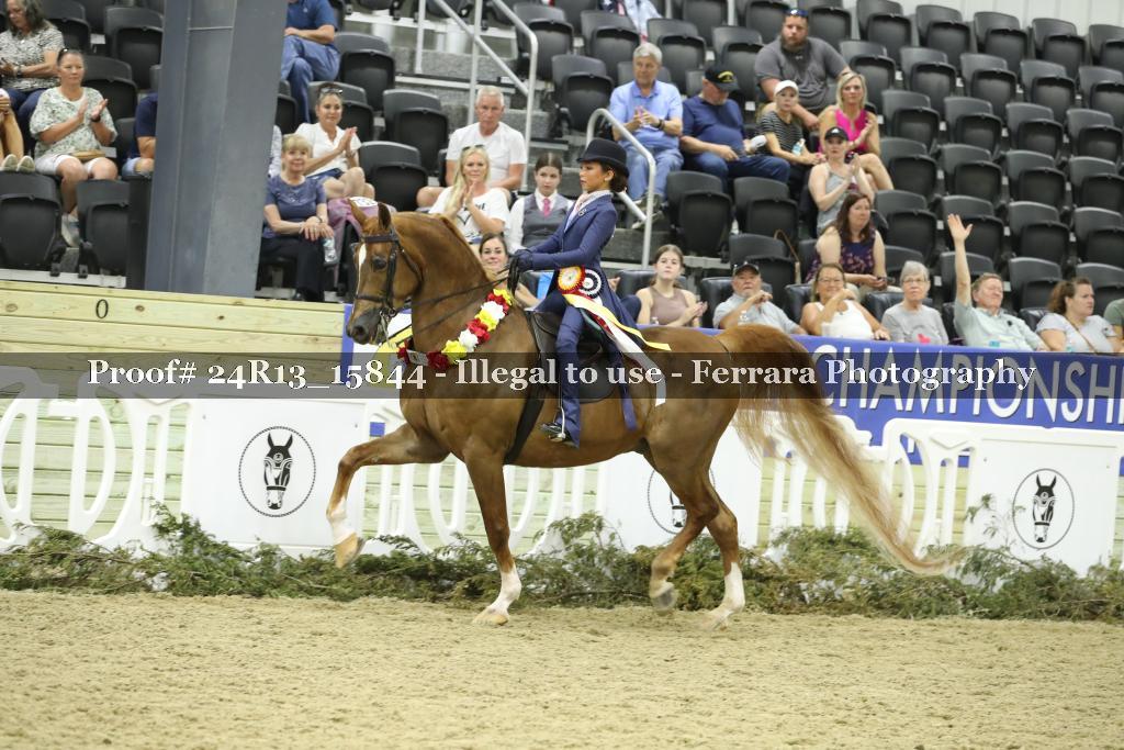 Proof 24R13_15844