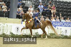 24R13_15844 proof