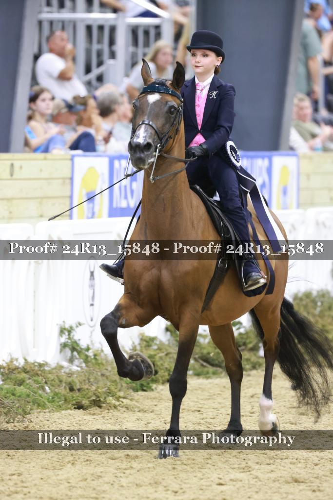 Proof 24R13_15848