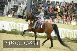 24R13_15854 proof