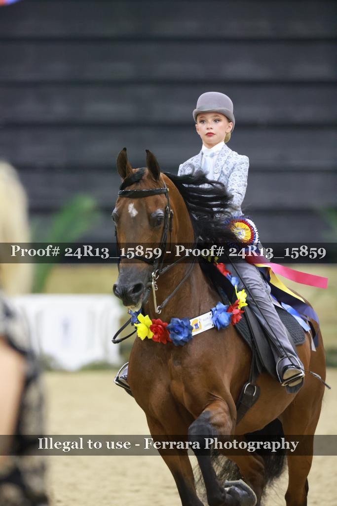 Proof 24R13_15859