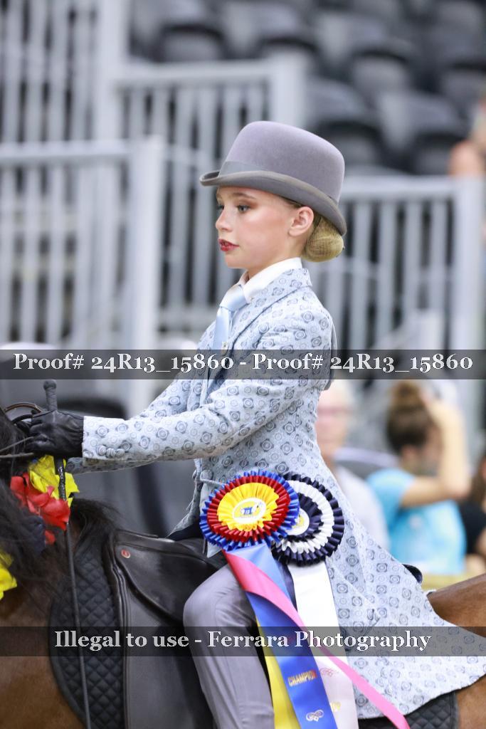 Proof 24R13_15860