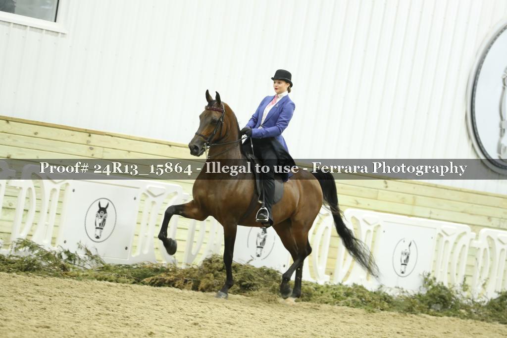 Proof 24R13_15864