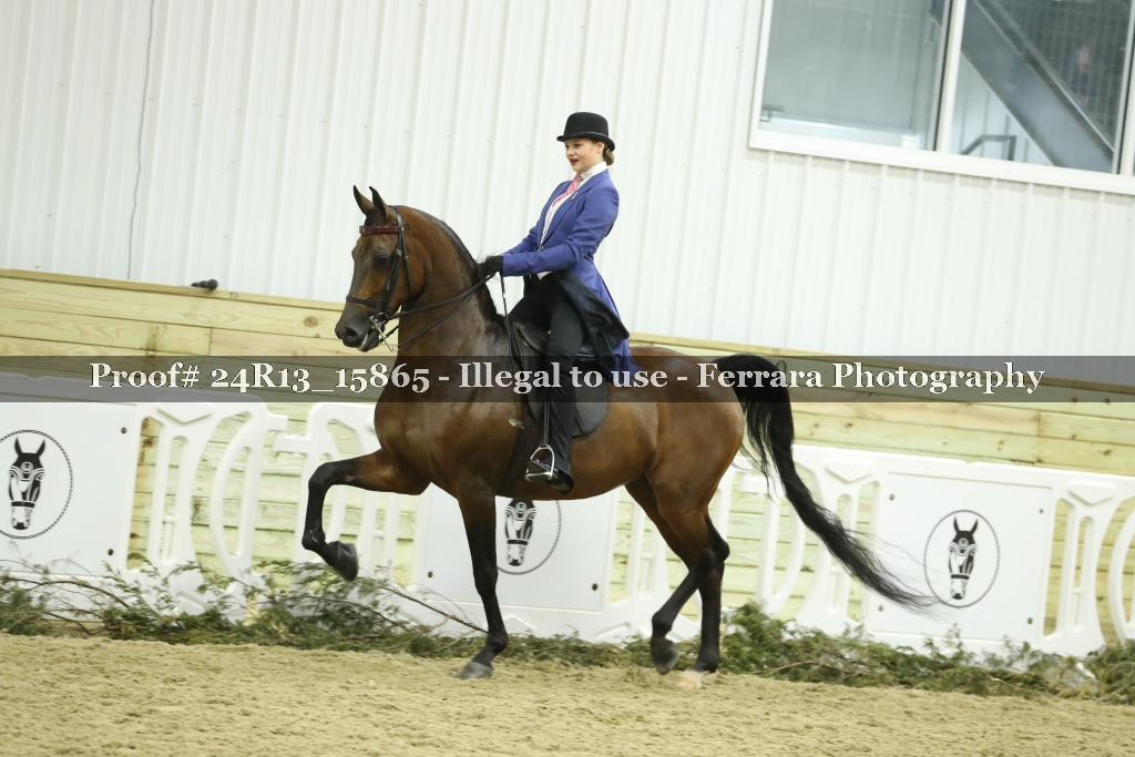 Proof 24R13_15865