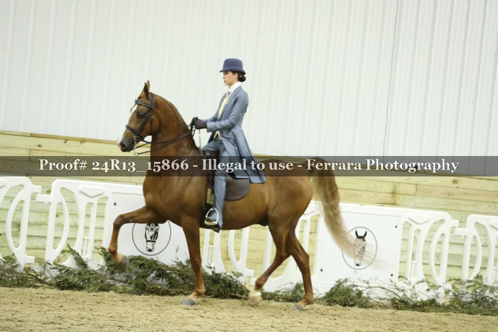 Proof 24R13_15866