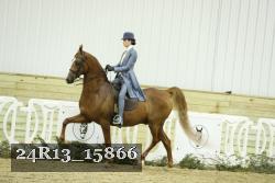 24R13_15866 proof