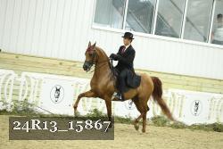 24R13_15867 proof
