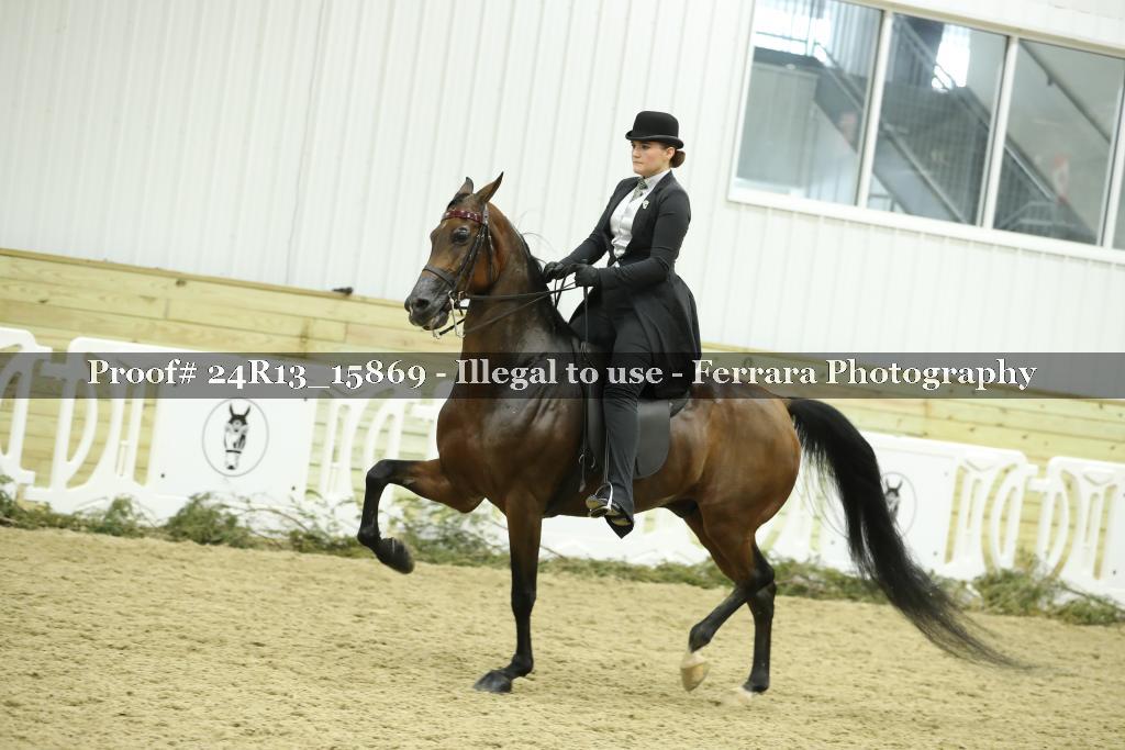 Proof 24R13_15869