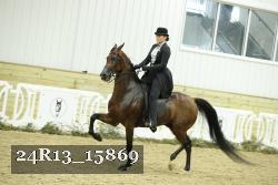 24R13_15869 proof