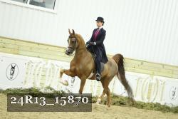 24R13_15870 proof