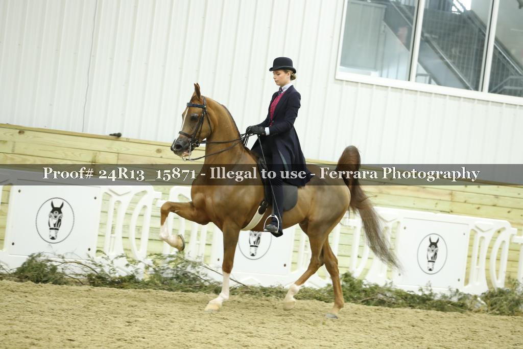 Proof 24R13_15871