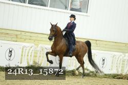 24R13_15872 proof