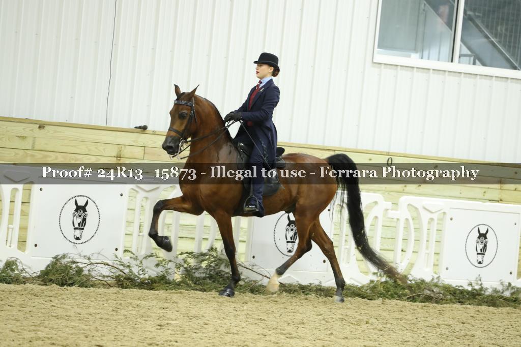 Proof 24R13_15873