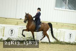 24R13_15873 proof