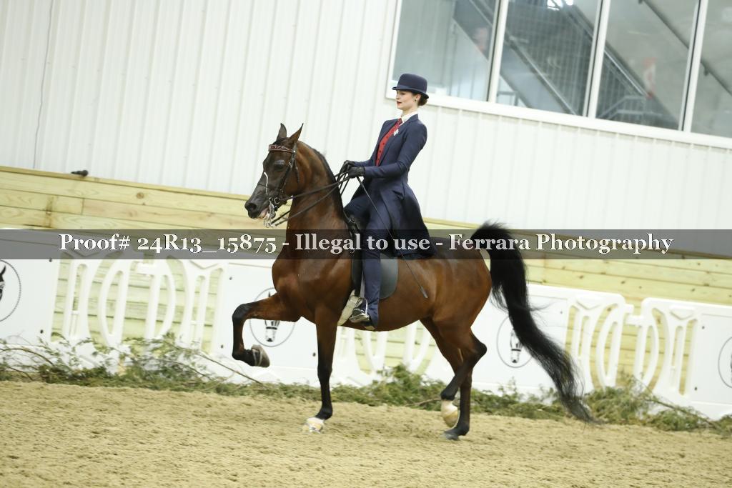 Proof 24R13_15875