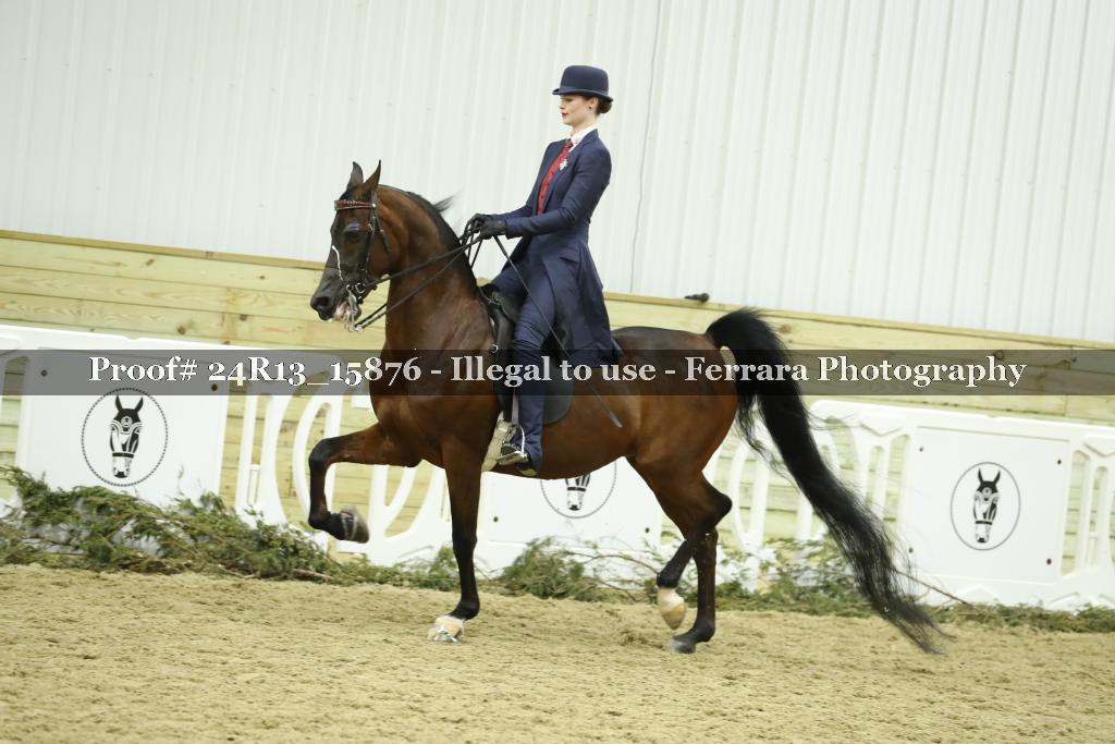 Proof 24R13_15876