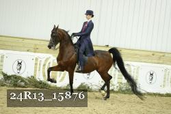 24R13_15876 proof