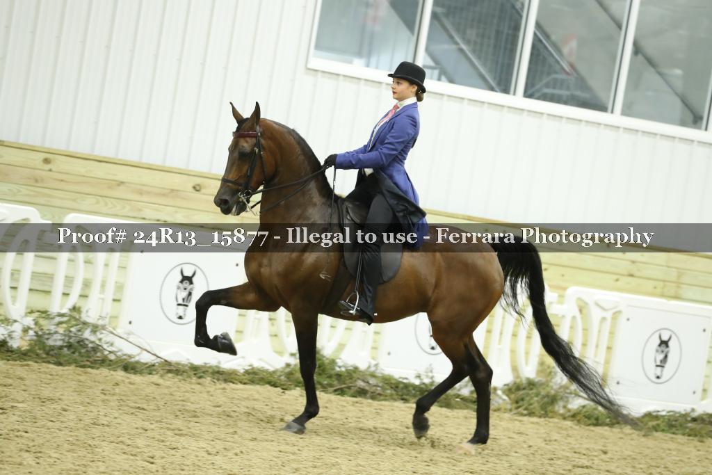 Proof 24R13_15877