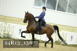 24R13_15877 proof