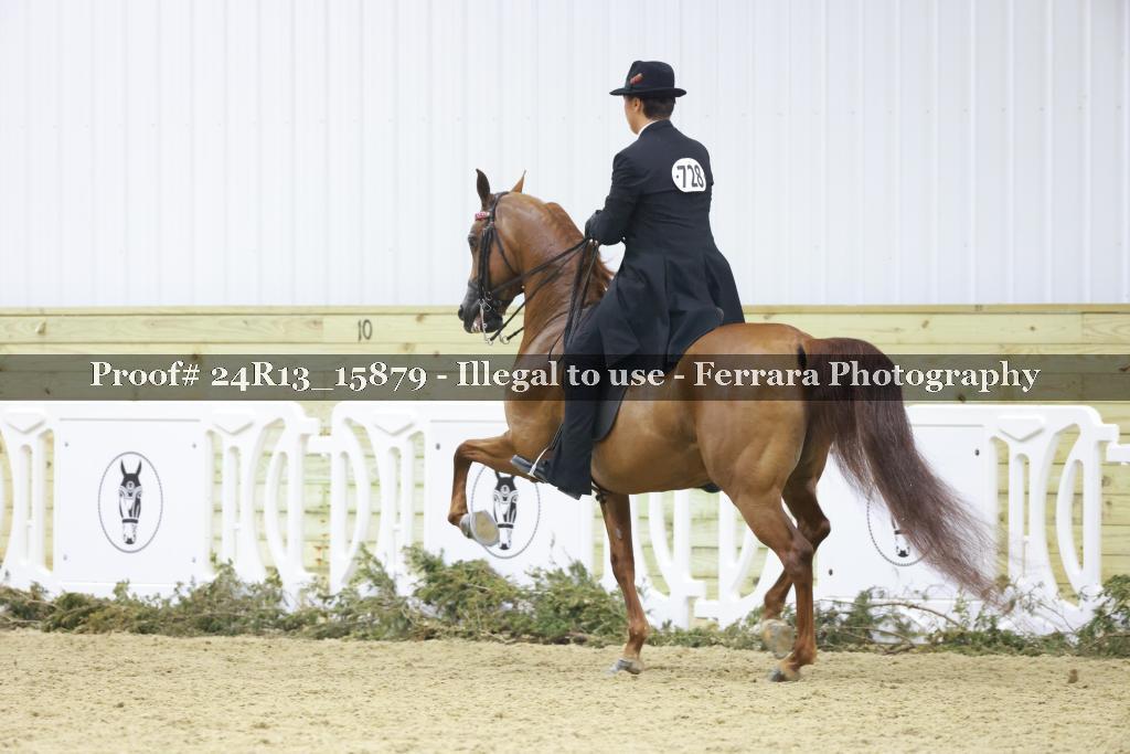 Proof 24R13_15879