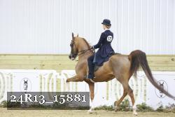 24R13_15881 proof