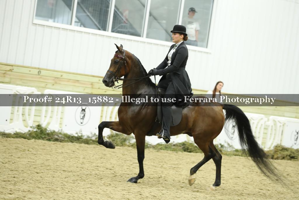 Proof 24R13_15882