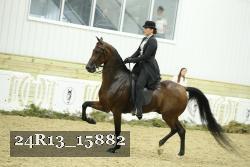 24R13_15882 proof