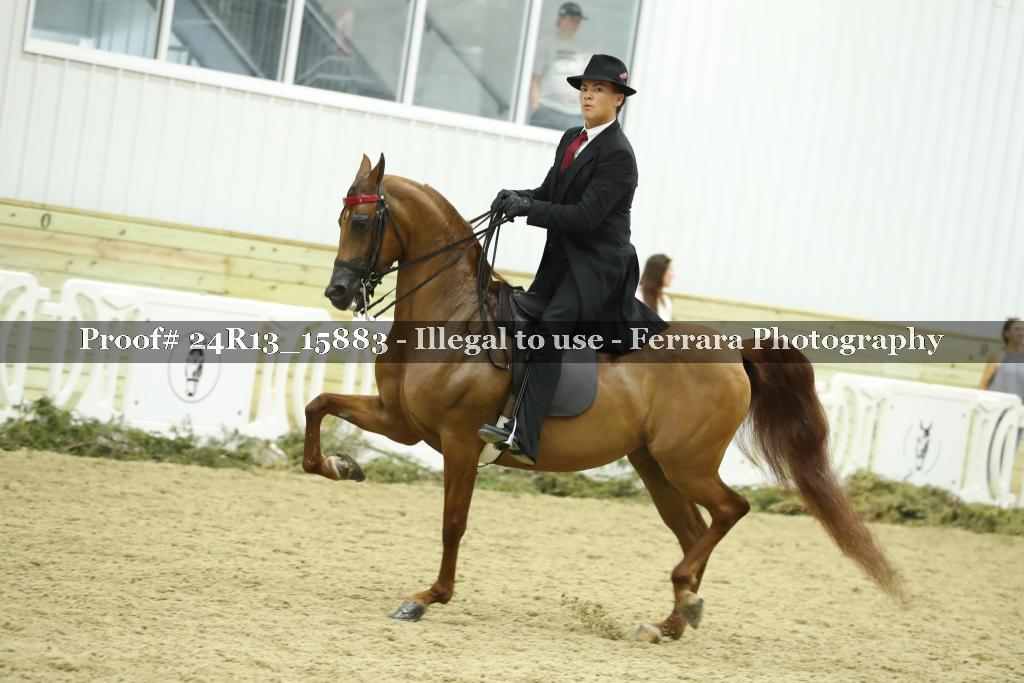 Proof 24R13_15883