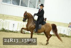 24R13_15883 proof