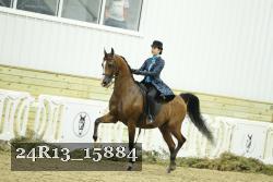 24R13_15884 proof
