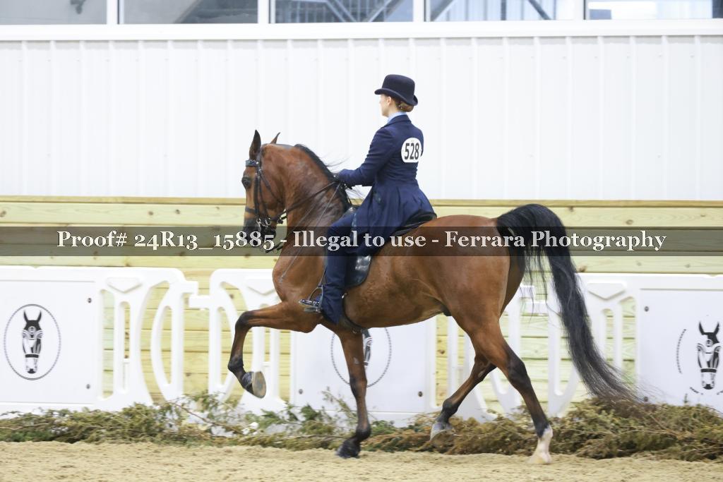 Proof 24R13_15885