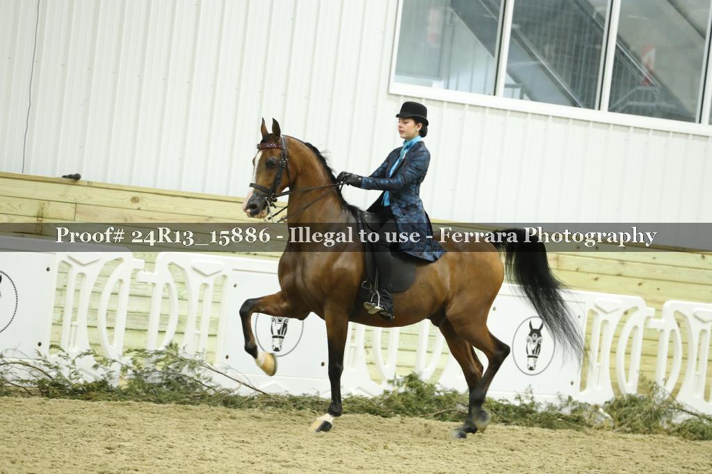 Proof 24R13_15886