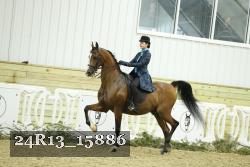 24R13_15886 proof