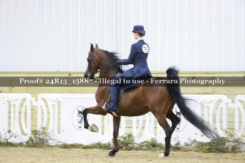 Proof 24R13_15887