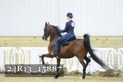 24R13_15887 proof