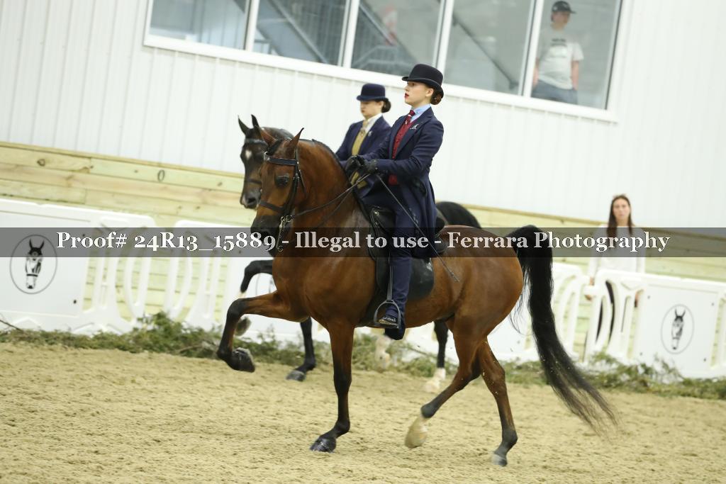 Proof 24R13_15889