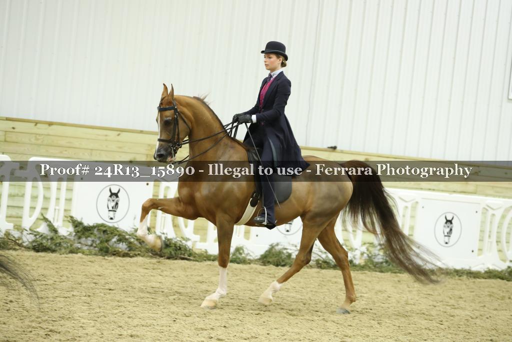 Proof 24R13_15890