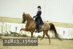 24R13_15890 proof
