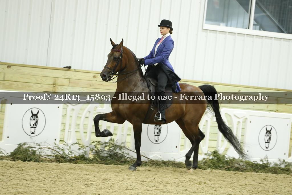Proof 24R13_15893