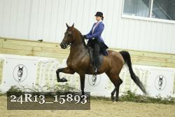 24R13_15893 proof