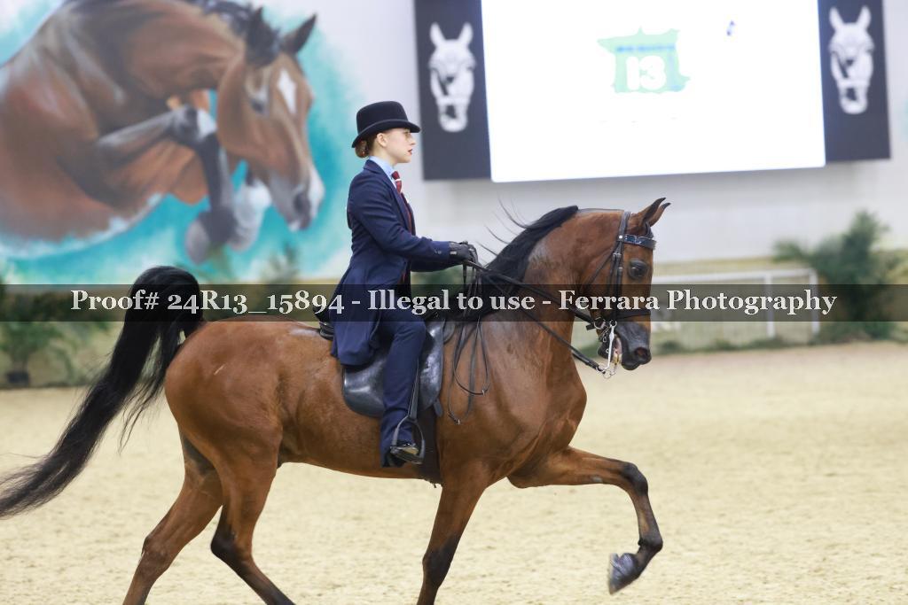 Proof 24R13_15894