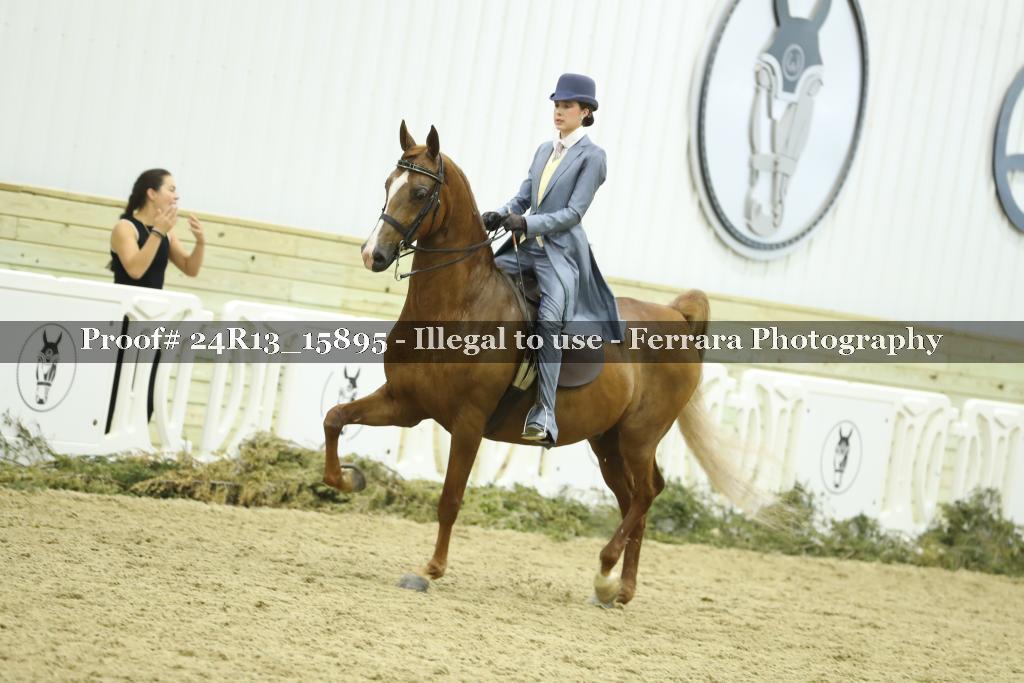 Proof 24R13_15895