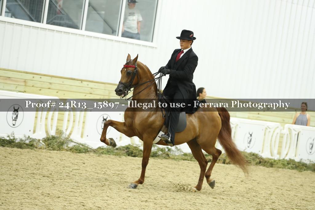 Proof 24R13_15897