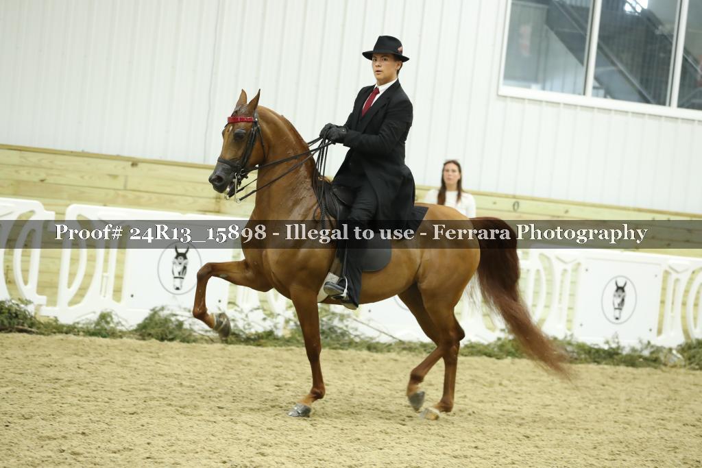 Proof 24R13_15898