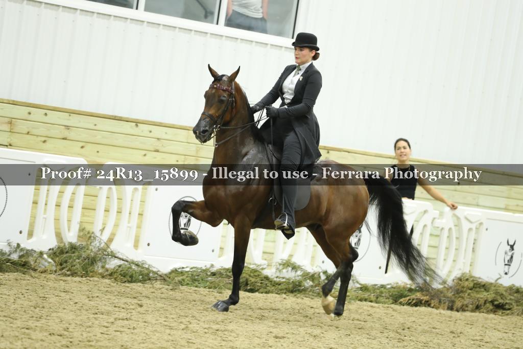 Proof 24R13_15899