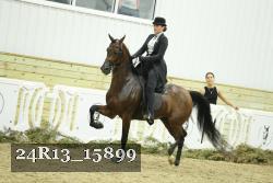 24R13_15899 proof