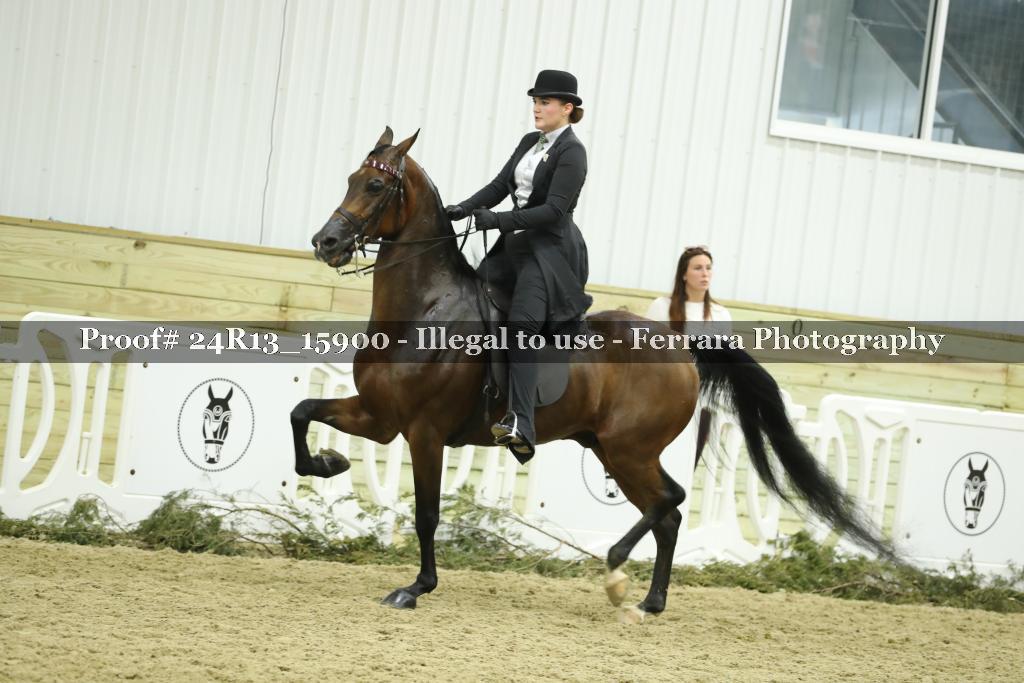 Proof 24R13_15900